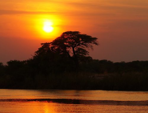 WHY BOTSWANA IS A WONDERFUL CHOICE AS A FIRST TRIP TO AFRICA