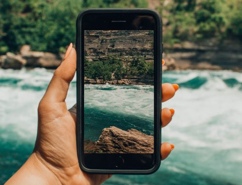 Capturing the wild: Smartphone photography tips for your safari adventure